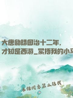 大唐励精图治十二年，才知是西游