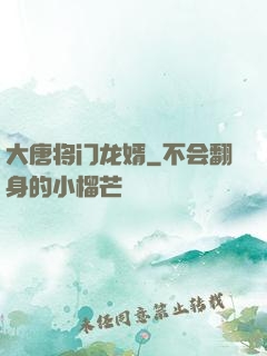 大唐将门龙婿