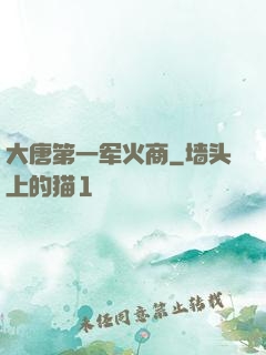 大唐第一军火商