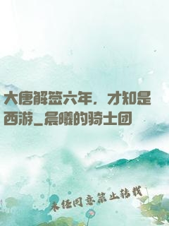 大唐解签六年，才知是西游