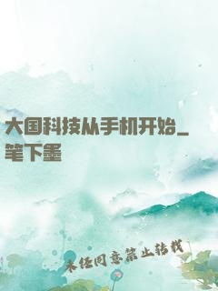 大国科技从手机开始