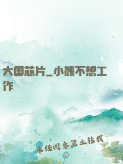 大国芯片
