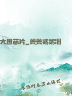 大国芯片