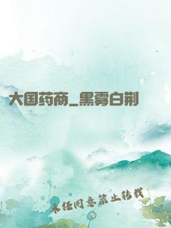 大国药商