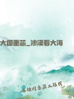 大国重芯
