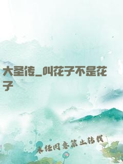 大圣传