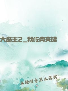 大岛主2