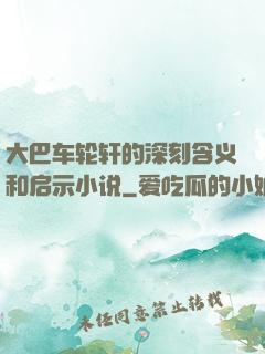 大巴车轮轩的深刻含义和启示小说