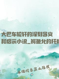 大巴车轮轩的深刻含义和启示小说