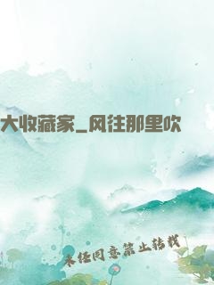 大收藏家