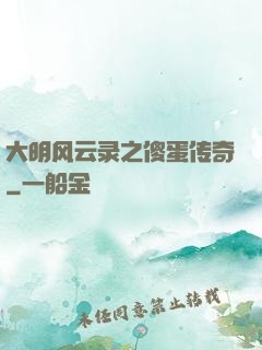 大明风云录之傻蛋传奇