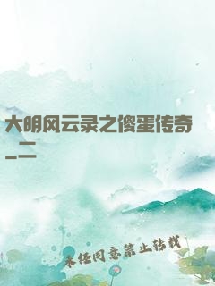 大明风云录之傻蛋传奇
