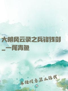 大明风云录之兵锋残剑