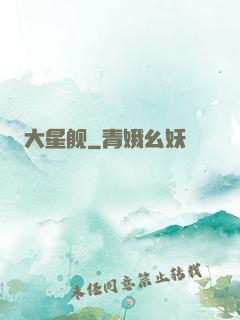 大星舰