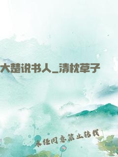 大楚说书人