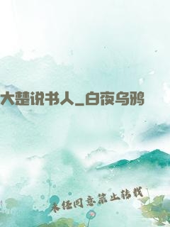 大楚说书人