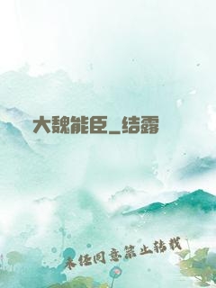大魏能臣