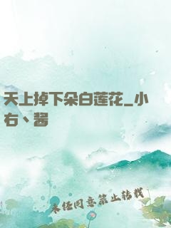 天上掉下朵白莲花