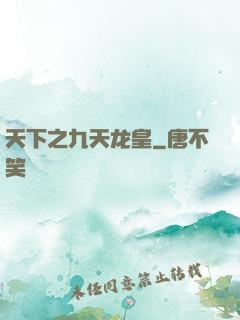 天下之九天龙皇