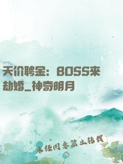天价聘金：BOSS来劫婚
