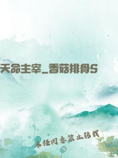 天命主宰