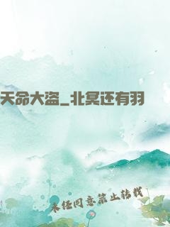 天命大盗