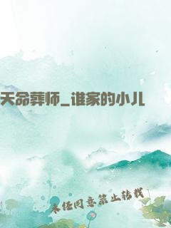 天命葬师