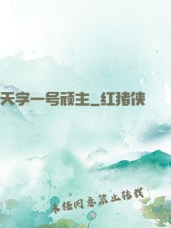 天字一号顽主