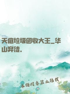 天庭垃圾回收大王