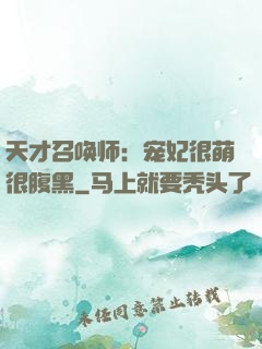 天才召唤师：宠妃很萌很腹黑