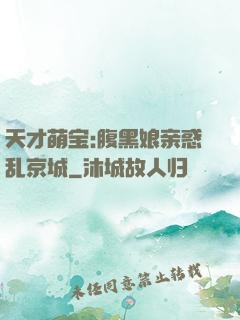 天才萌宝:腹黑娘亲惑乱京城