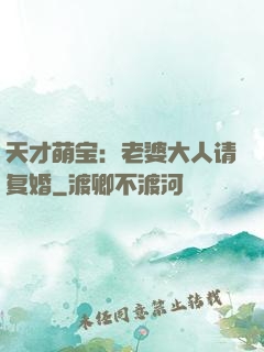 天才萌宝：老婆大人请复婚