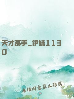 天才高手
