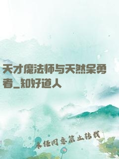 天才魔法师与天然呆勇者