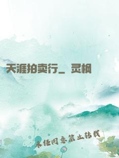 天涯拍卖行