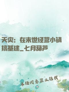天灾：在末世经营小镇搞基建