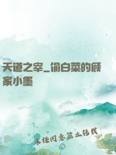 天道之宰