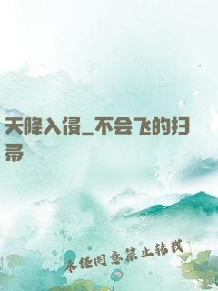 天降入侵