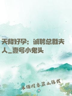 天降好孕：诚聘总裁夫人