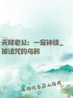天降老公：一宠钟情