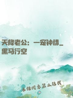 天降老公：一宠钟情