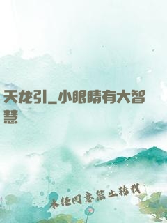 天龙引