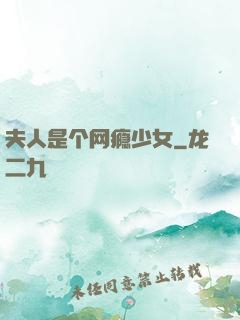 夫人是个网瘾少女