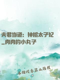 夫君当道：神棍太子妃