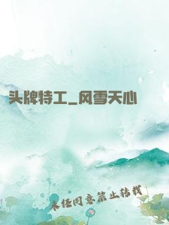 头牌特工
