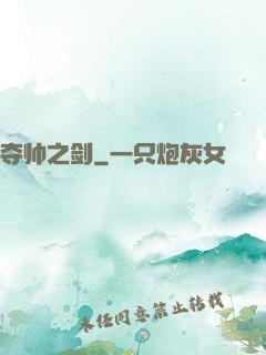 夺帅之剑