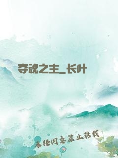 夺魂之主