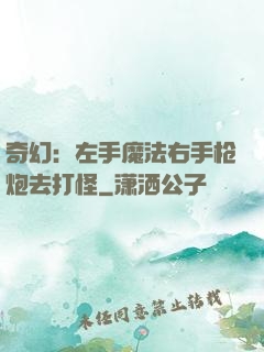 奇幻：左手魔法右手枪炮去打怪
