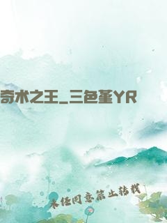 奇术之王