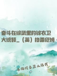 奋斗在综武里的锦衣卫大统领